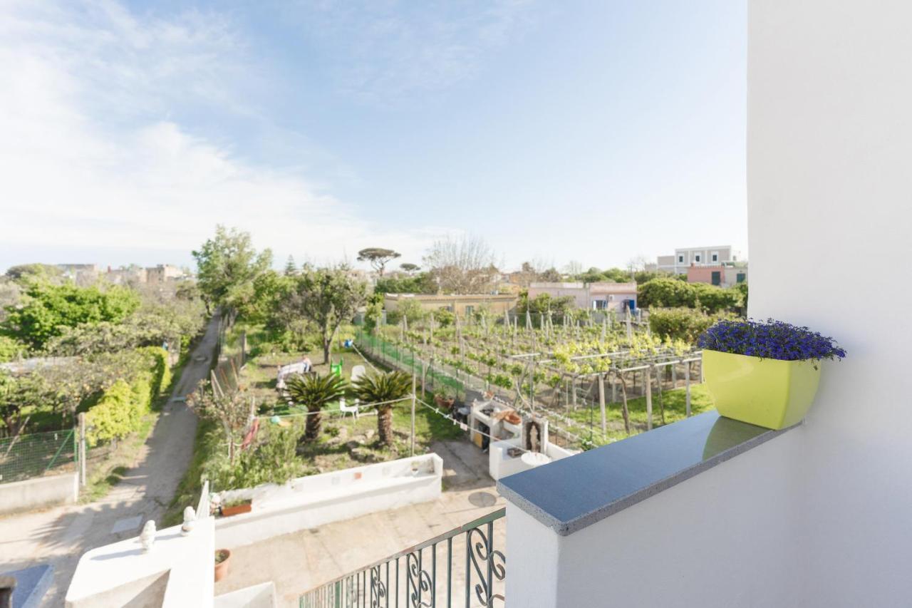 Green Island Apartment Procida Exterior photo