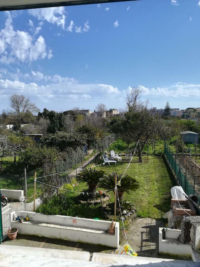 Green Island Apartment Procida Exterior photo